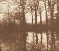 Free download [Winter Trees, Reflected in a Pond] free photo or picture to be edited with GIMP online image editor